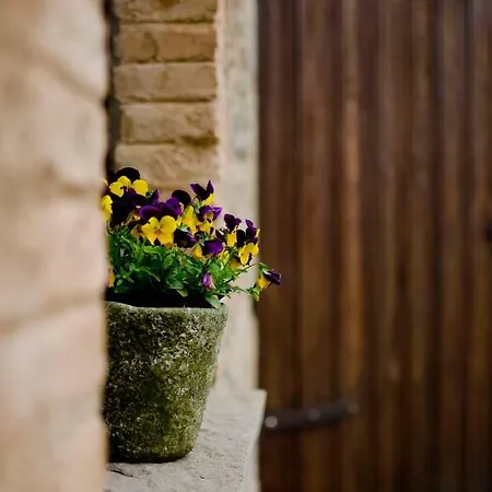 Casa Cal Pastor Country house *